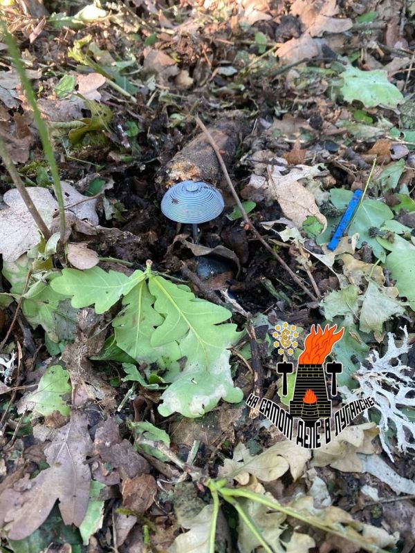 ��� ��������� ��� ��������� ���� ��� �����