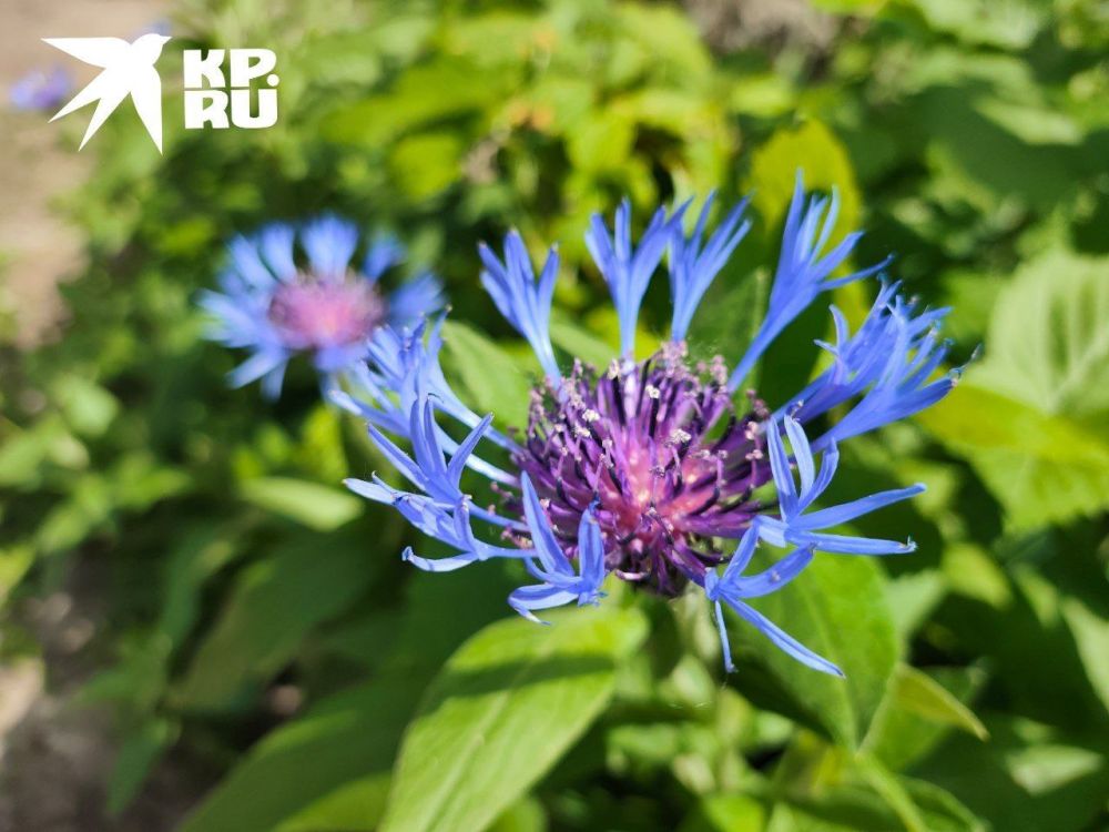 �������� ��� ������. �������� ����� ������� ���� �����