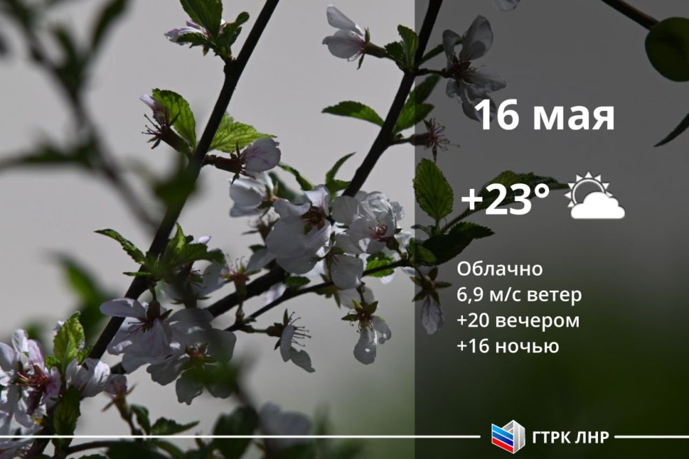 Доброе утро, Луганская Народная Республика!