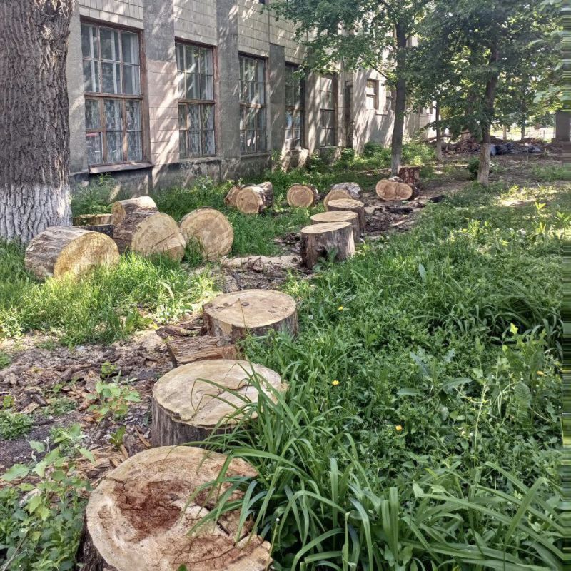 ����������� �������� ������������ ����������� �� ��������������� ��. ��������, 7