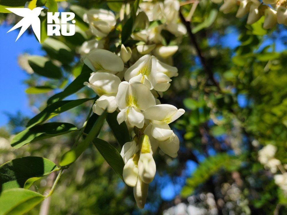 ����� ������. �������� �� �� ��������, ������� � �������� ������? �������� ����� �� � ������ ������