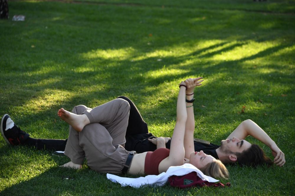 � ��� ������ �����. ������� ���������� ����� ������� ������ ������ 17 ���