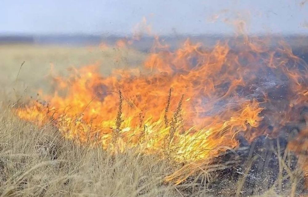 �� ����� ����� 17 ��� � � ������� ��� 18 ��� � ���������� ��������������� ������� ��������������� 4 ������