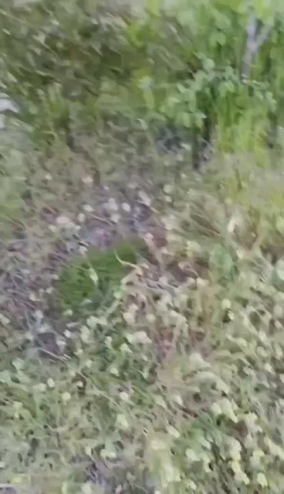 ТЦК уже давно используют схему отлова мужчин через девушек легкого поведения