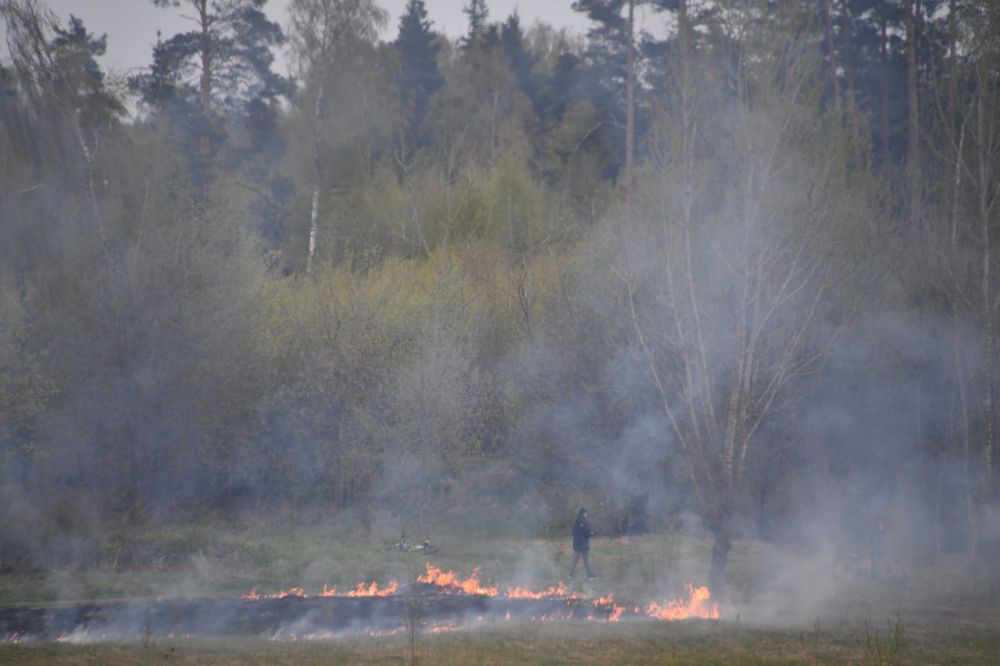 МЧС предупредило о высокой пожароопасности в ЛНР 18–19 мая