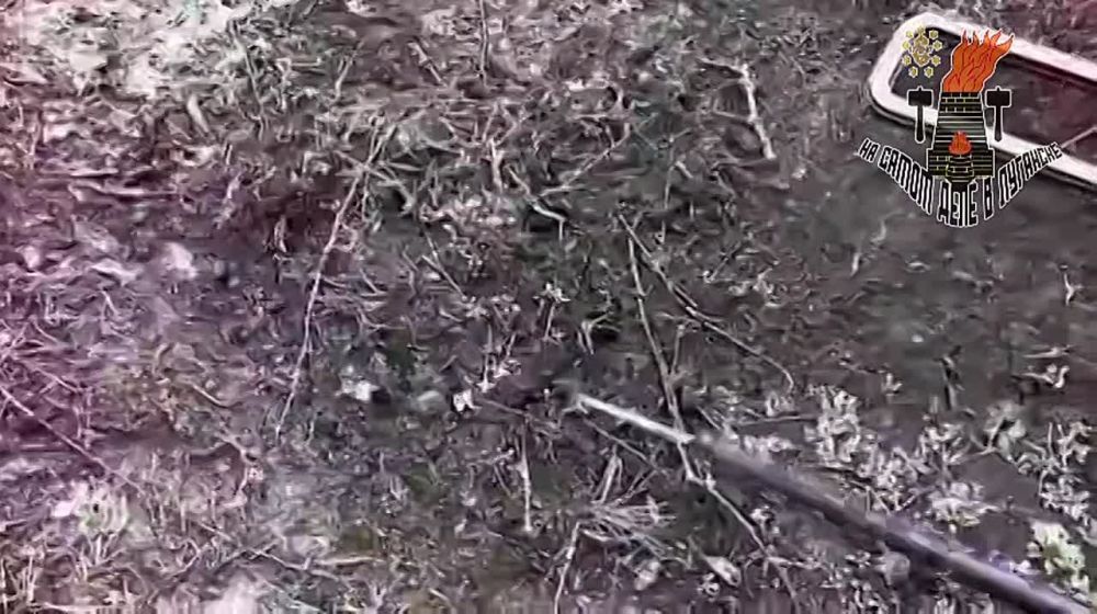 "������ ����� ������...". ��� ����� ������� � ���������