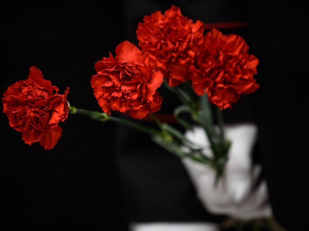 �� ��� ����� ���� �� ��������� ���� ������ �������