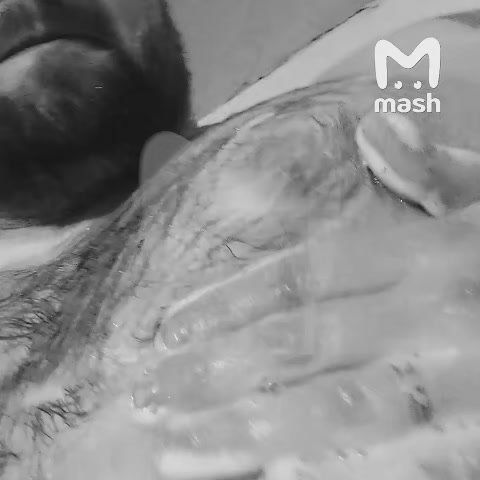 ������ � ��������� ��������� �����: ��� ������ ������� ����� ����������� ���������