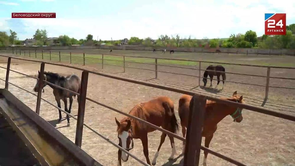 ����������� ������ ����� �� ���� ����������� ������� ������ ����� �������