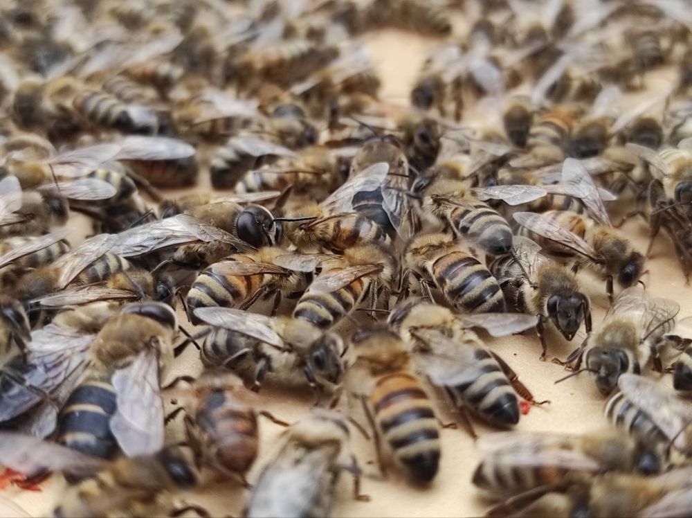 ��������� ��� ����������, ����� �� ����� ������� ��