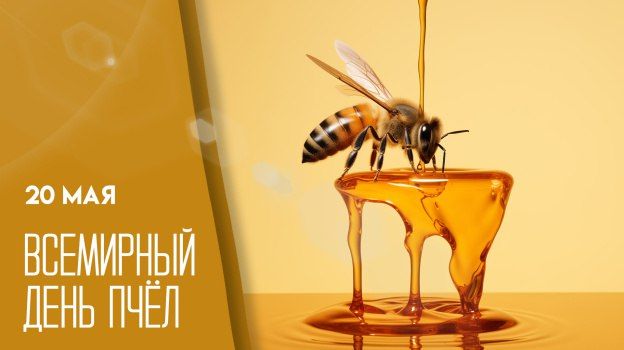 20 ��� � ��������� ���� ����: ��������� ���������, ������� ������ �������