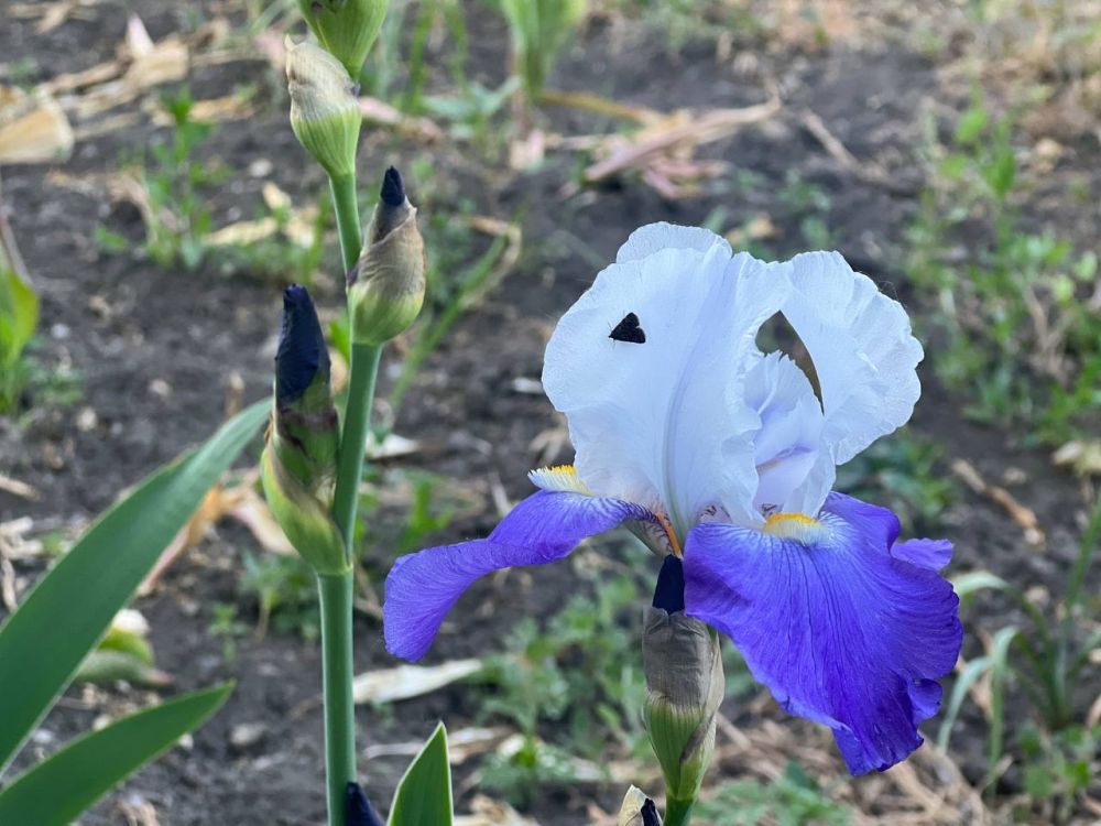 �����, ����� � ������� ����� ������������ � �������� 20 ���