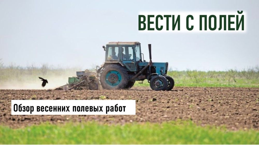 ����� �������� ������� ����� � ���