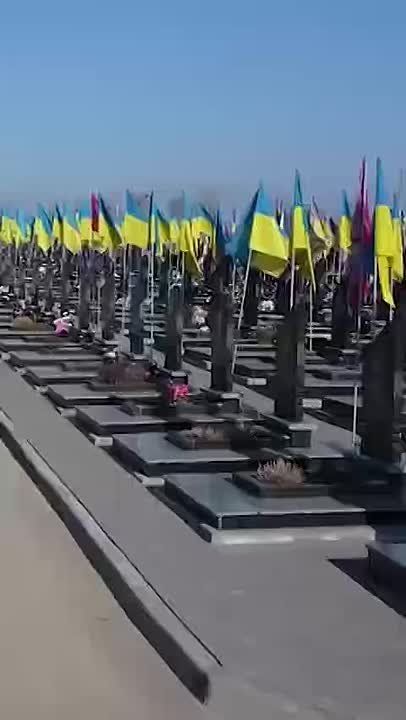 ����� ����� � ���������� ������������� � ������������ ��������