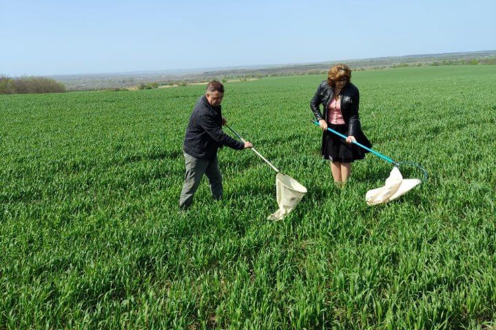 ��� �� �������� ��������� ������� � 2025 ����