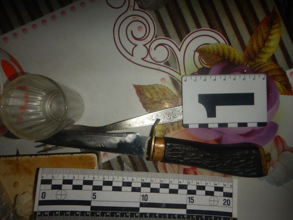 ����������� ���������� ���� ��� ����� ���������� 49-������� ������ ������