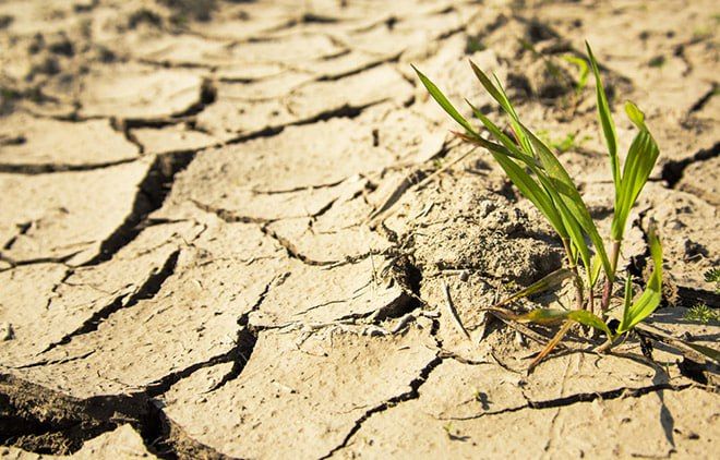 ������� ������ � ���: ������ ������ �������