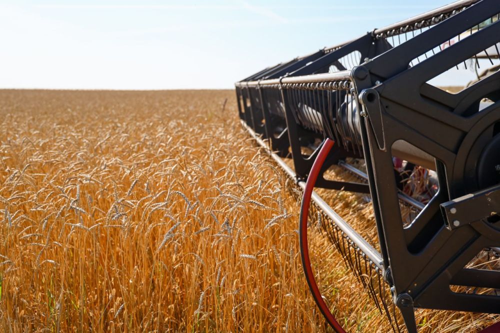 ������ �������� ������ ������� �� ������ ���