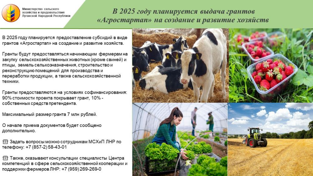 ������ ������������-2025�: ���������� �������� ��� � �� 7 ��� ������ �� ��������