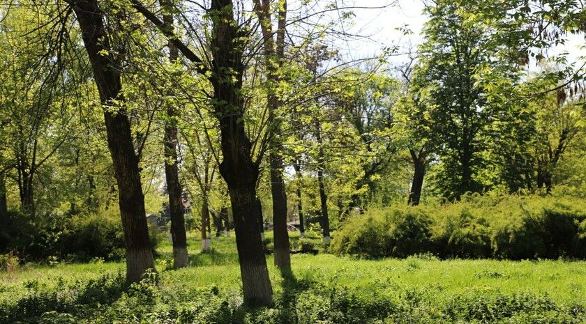 ��������� ������������ 23 ��� � ��� �� 25 �������� �����, ����� � ������ � ������