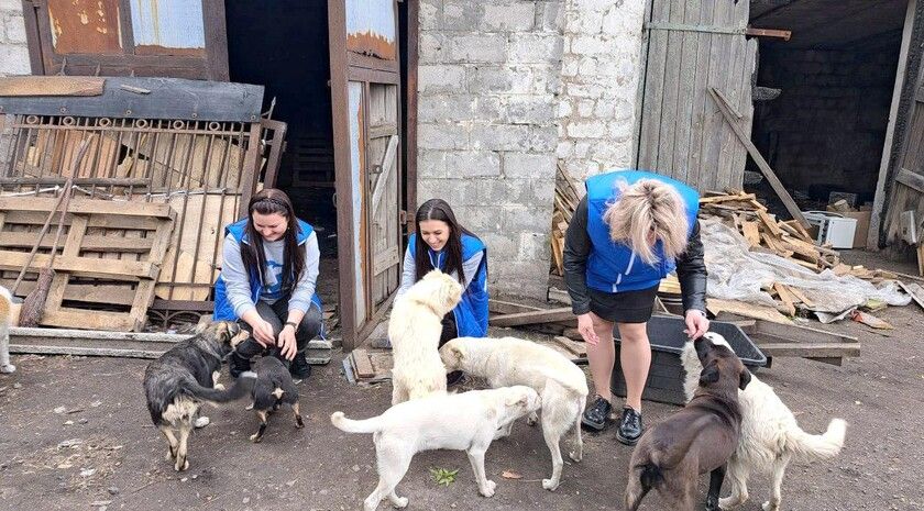 Пульс региона: ряд новостей для ЛНР за 22 мая