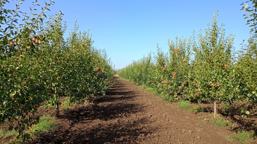 ����� ��� ������� � ������ ����������� �����-�����