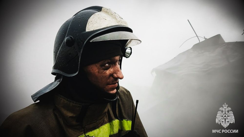 �� ����� � ��� �������� ���� �������