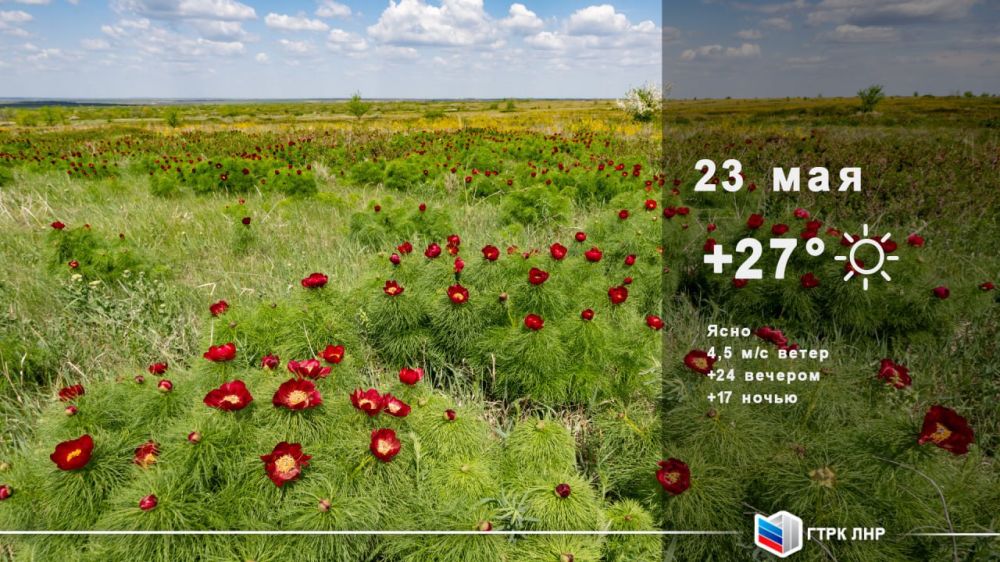 ������ ����, ��������� �������� ����������!