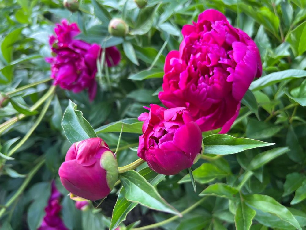 ��������� ������������ ����� � ��� 23 ���