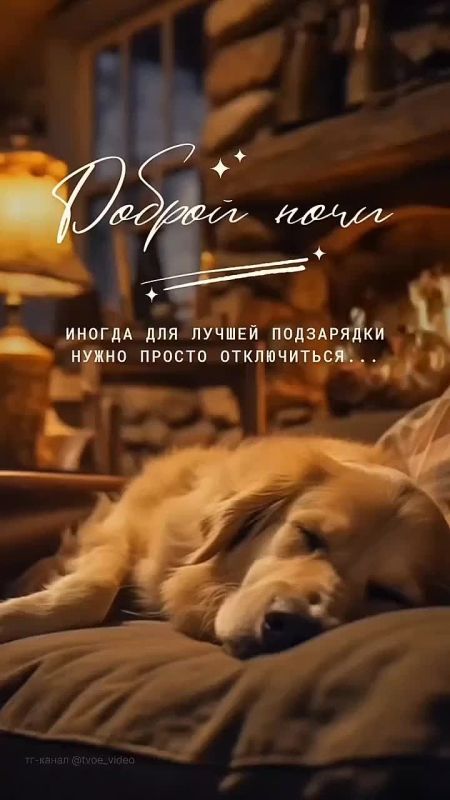 �� ������ ���� ��������, ������, ������, �������, ������, ��� �������� � ����� ��������� ��� ������� � ����������