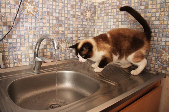 � ��� 26 ��� ��-�� ���������� ������������� �� �������� �������� �� ����� ���� �� ���� ����������