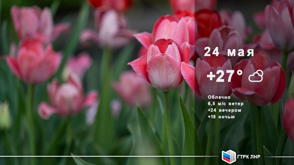 Доброе утро, Луганская Народная Республика!