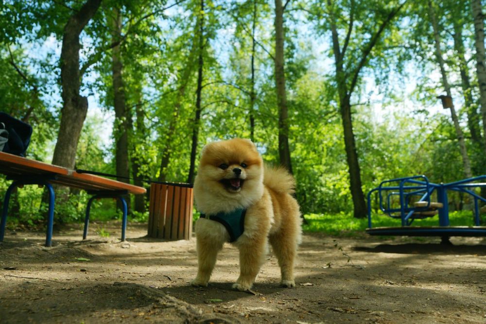 � ��� � �����������, 25 ���, ��������� �� 25 �� 30 �������� �����