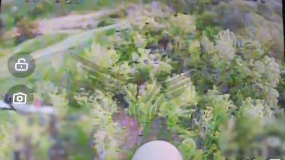 ������ ������ ��������� ��������� � ��������� ����� ����������� � ������ �.�. ��������