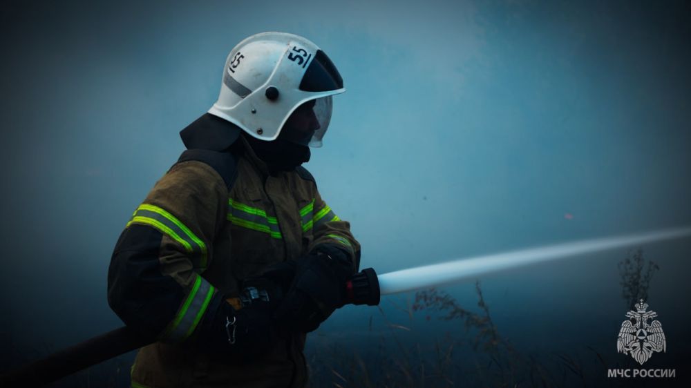 �� ����� � ��� �������� 10 �������