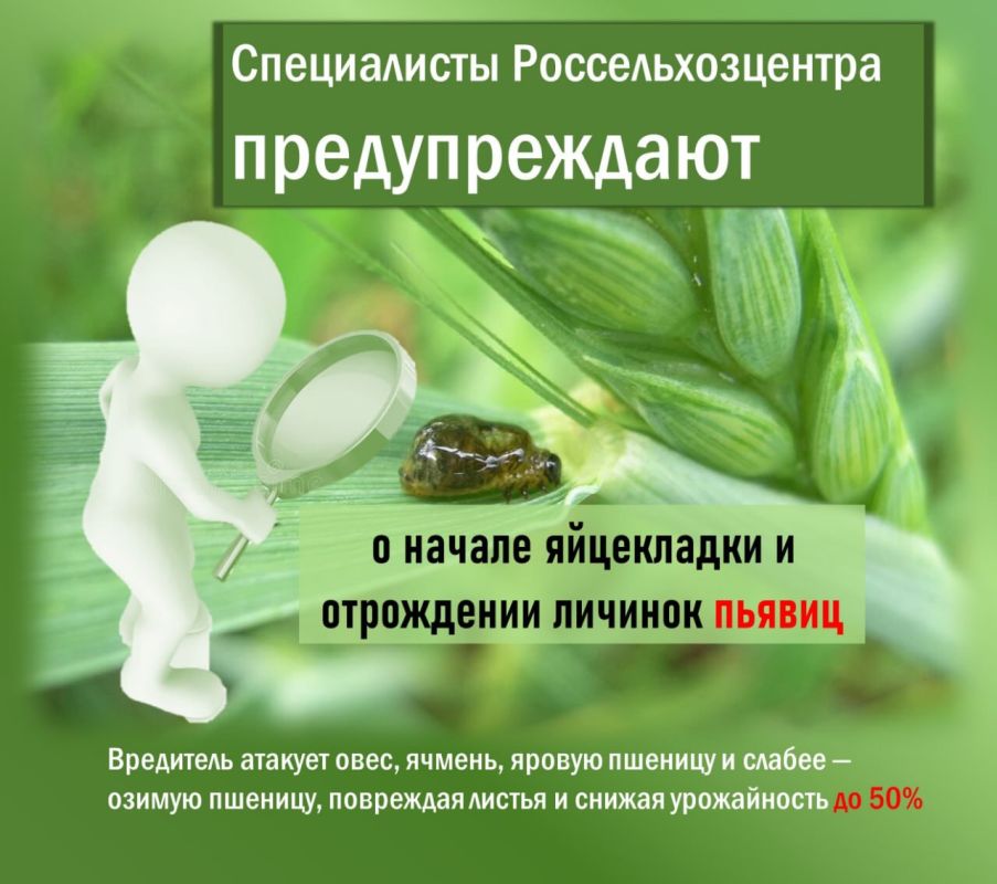 �������� ��������! ���������� ������ �� �������� ���������