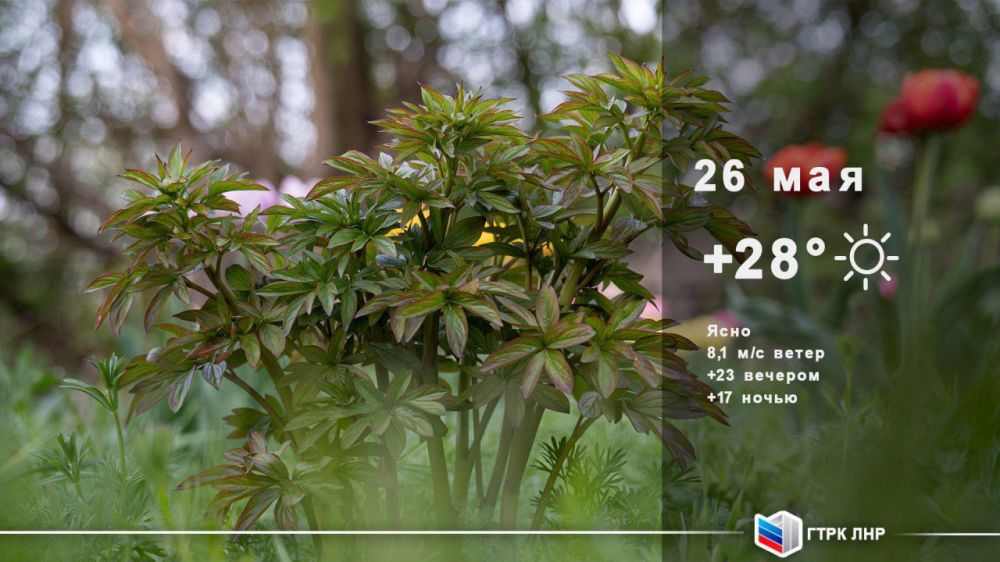 ������ ����, ��������� �������� ����������!