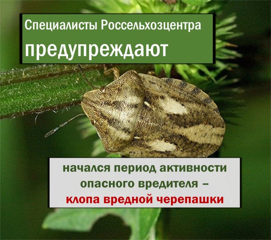 �������� ��������! ���������� ����� ������� ��������� �� �������� ���������