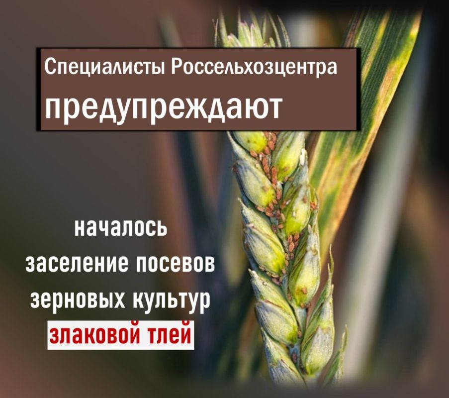 �������� ��������! ���������� �������� ��� �� �������� ���������