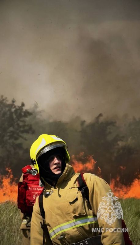 ����� � �������� ������������