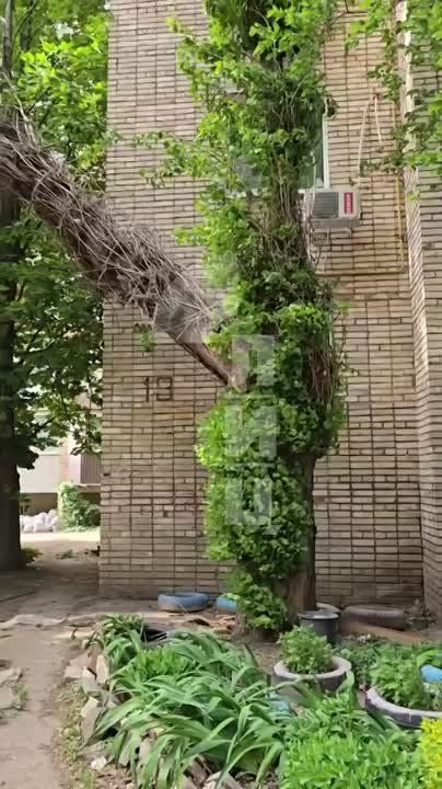 ����� � �������� ������� ���������� �� �� �����