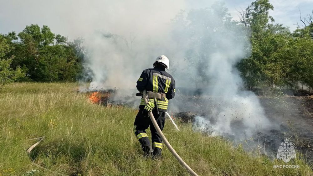 ����������� ������ ������� ����� ������������, ��� ��������