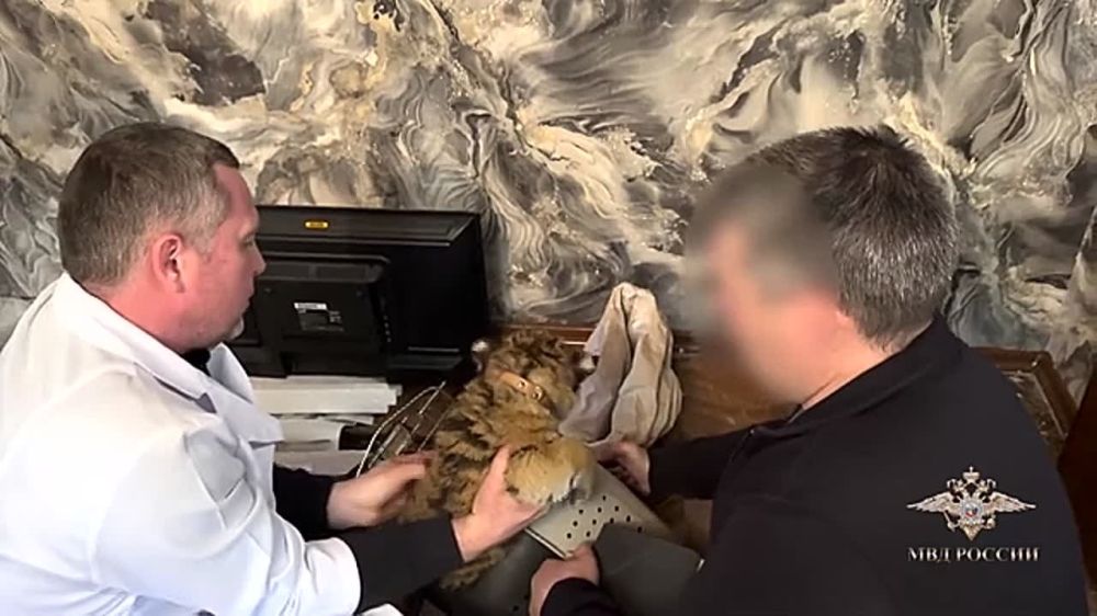 ������������ ���������� ��� ������ ������ � ������ ������ �������� � ��������� �������� ���������� ������������� ��������� ��������