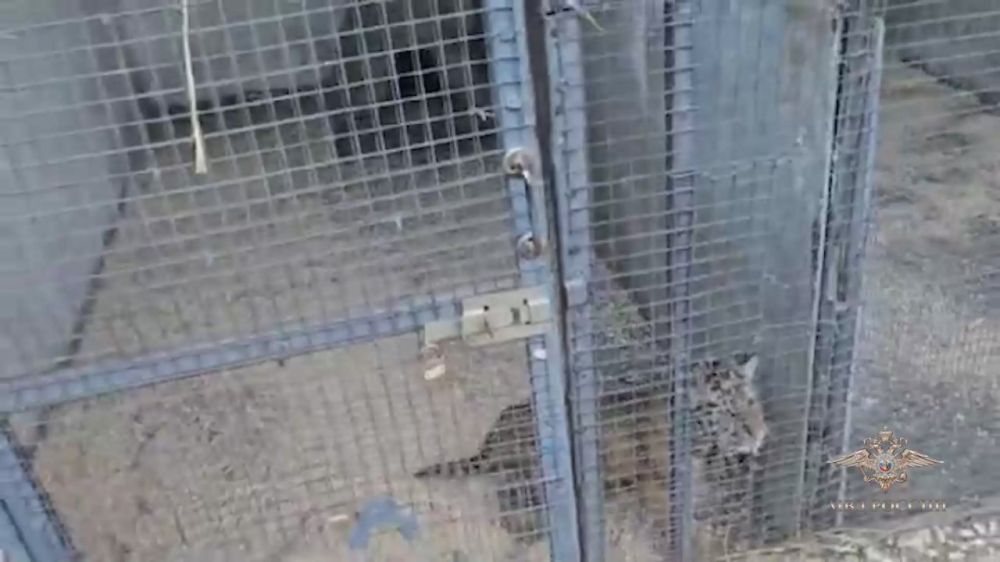 ����� ����: ��� ����� ������� ����������� ����� � ����� �� ������� ������ ��������� ��������� �������� ����������