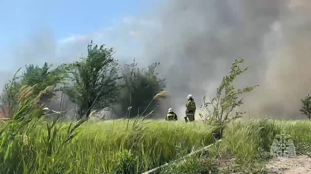 ��������� ��� ������ ����������� ������� ����� � ��������