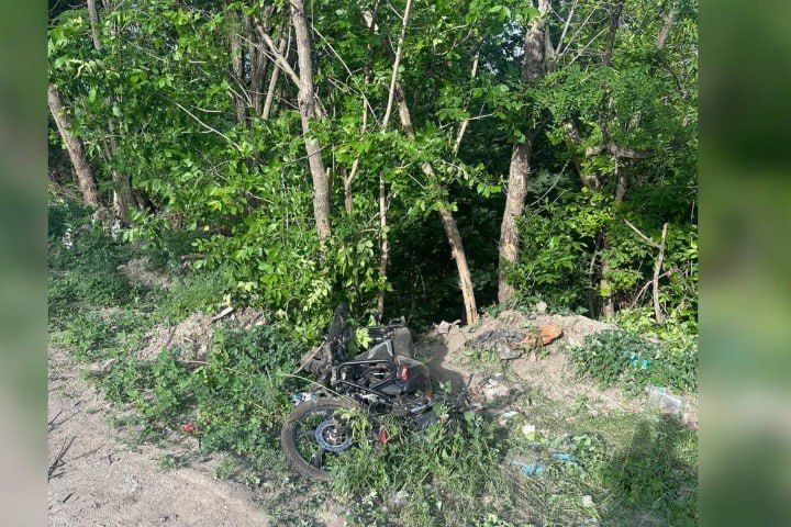 � �������� ���� � ������� �� ������ ������� � ������