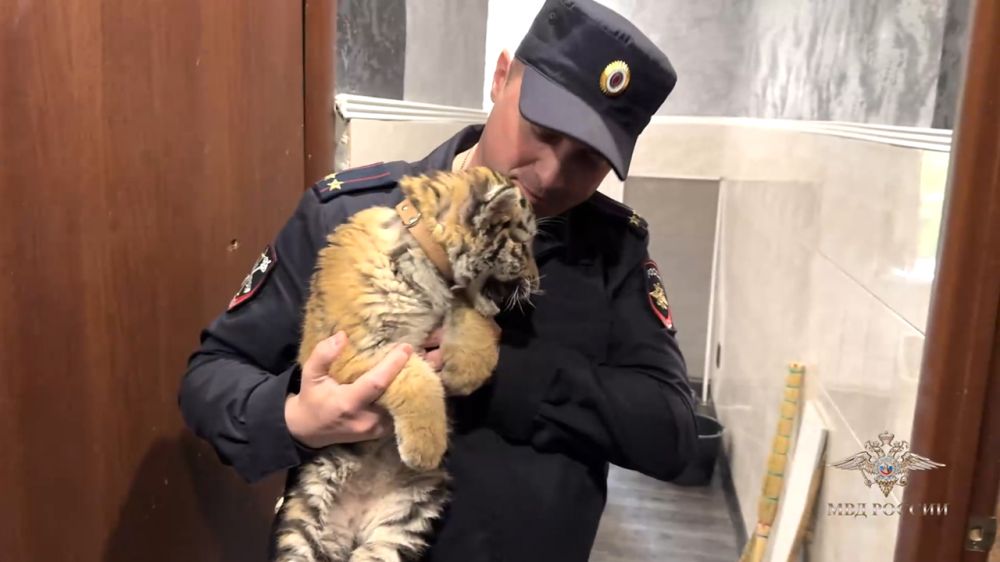 ����� ����: ����������� ��� ������ � �������� ������ ������ ��������� �������� �������������� ��������� �����