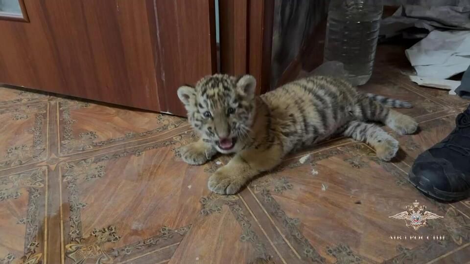 ��������� �������� ������ � ������������ �������� � ���: �����