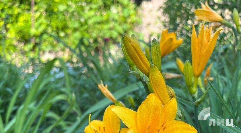 ��������� ������������ 28 ��� � ��� �� 27 �������� ����� � ������� �����