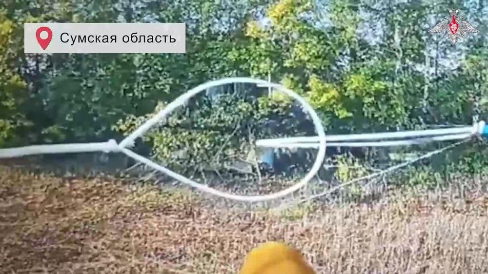 ��������� ������� ������ ����� �� ����������